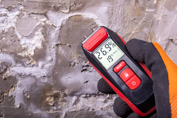 Best Mold Remediation Experts  in Westville, NJ
