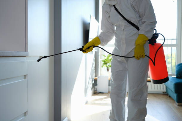 Best Affordable Mold Removal  in Westville, NJ