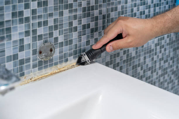 Best Mold Remediation  in Westville, NJ