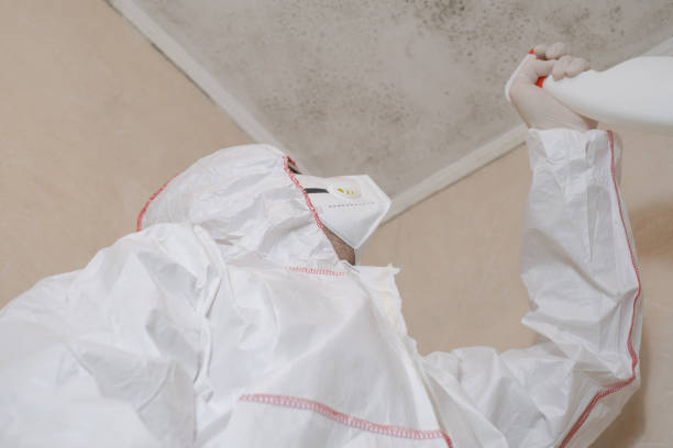 Best Mold Cleaning Services  in Westville, NJ